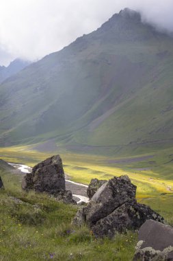 güzel bir dağ gorge manzarası