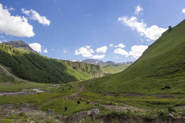 Yüksek pitoresk gorge kayalarda — Stok fotoğraf