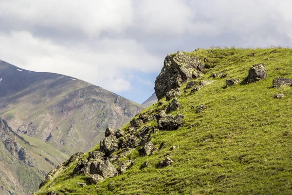 Yüksek pitoresk gorge kayalarda — Stok fotoğraf