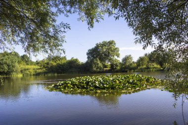 Ahşap pitoresk göl