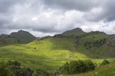 güzel yeşil pitoresk vadide yamaçları
