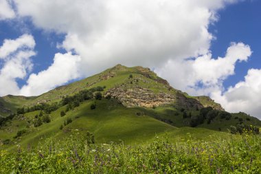 güzel yeşil pitoresk vadide yamaçları