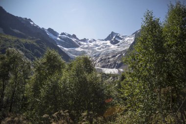 Vahşi doğa ve Kuzey Kafkasya dağlarında