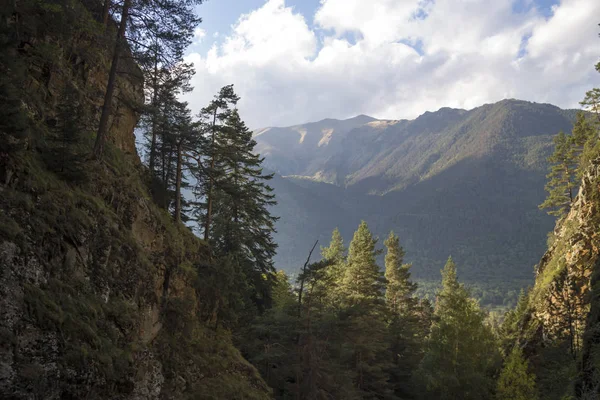 Dağ gorge sonbahar ormanda