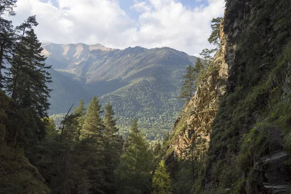 Dağ gorge sonbahar ormanda