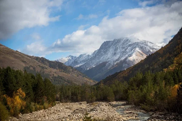 Montagne nelle nuvole — Foto Stock