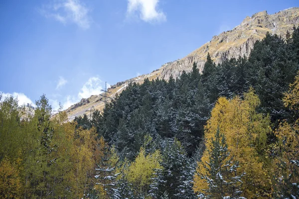 Podzimní dřevo v horské soutěsce — Stock fotografie