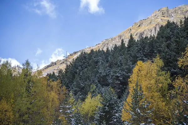 Dağ gorge sonbahar ormanda