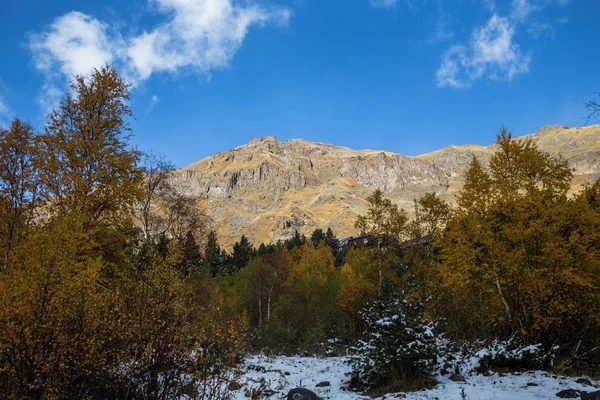 Il bosco autunnale nella gola di montagna — Foto Stock