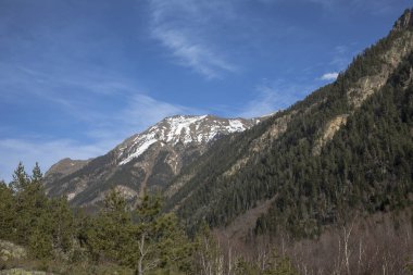 Dağ manzarası. Bir güzel iğne yapraklı orman pitoresk gorge, yüksek yamaçlarında, kayalar. Vahşi doğa Kuzey Kafkasya