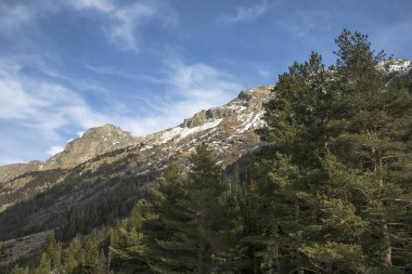 Dağ manzarası. Bir güzel iğne yapraklı orman pitoresk gorge, yüksek yamaçlarında, kayalar. Vahşi doğa Kuzey Kafkasya