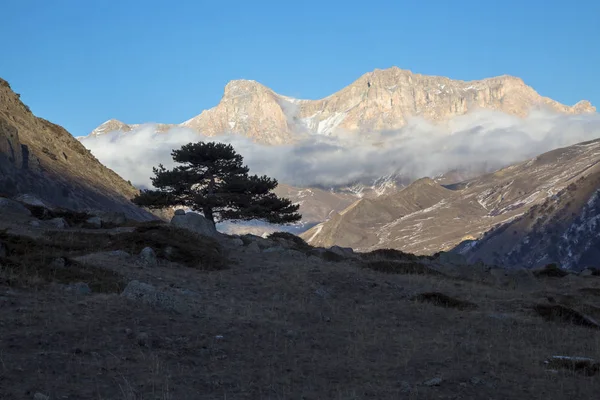 树在山上 北高加索的性质 美丽的风景 — 图库照片