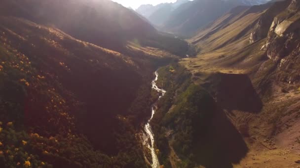 Der Gebirgsfluss Der Malerischen Schlucht — Stockvideo