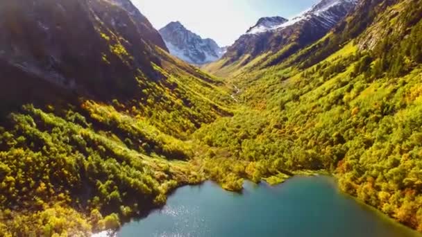 Der Schöne See Den Bergen Unkraut Der Bergschlucht Über Dem — Stockvideo
