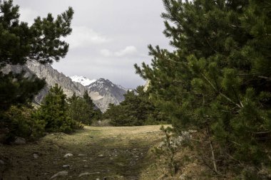 Dağ manzarası. Yüksek dağlarda güzel bir manzara. Kuzey Kafkasya 'nın Doğası