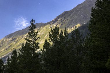 Dağ kayaları. Yüksek kayalıklı güzel vadi. Kuzey Kafkasya 'nın Doğası