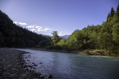Resimli vadideki dağ nehri. Kuzey Kafkasya 'nın manzarası