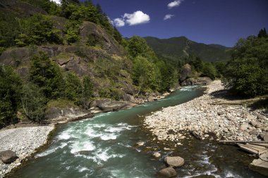 Resimli vadideki dağ nehri. Kuzey Kafkasya 'nın manzarası