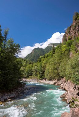 Resimli vadideki dağ nehri. Kuzey Kafkasya 'nın manzarası