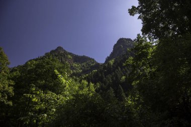 Dağ kayaları. Yüksek kayalıklı güzel vadi. Kuzey Kafkasya 'nın Doğası