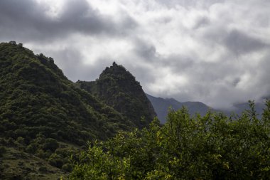 Dağ kayaları. Yüksek kayalıklı güzel vadi. Kuzey Kafkasya 'nın Doğası