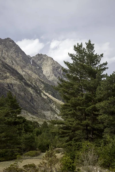 Górski Krajobraz Piękna Panorama Wysokich Gór Charakter Północnego Kaukazu — Zdjęcie stockowe