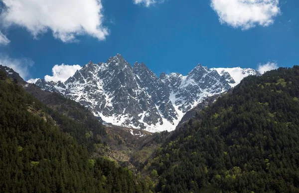 Rocas Montaña Hermoso Desfiladero Con Rocas Altas Naturaleza Del Cáucaso — Foto de Stock