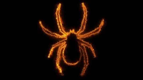 Петля паука Хэллоуина — стоковое видео