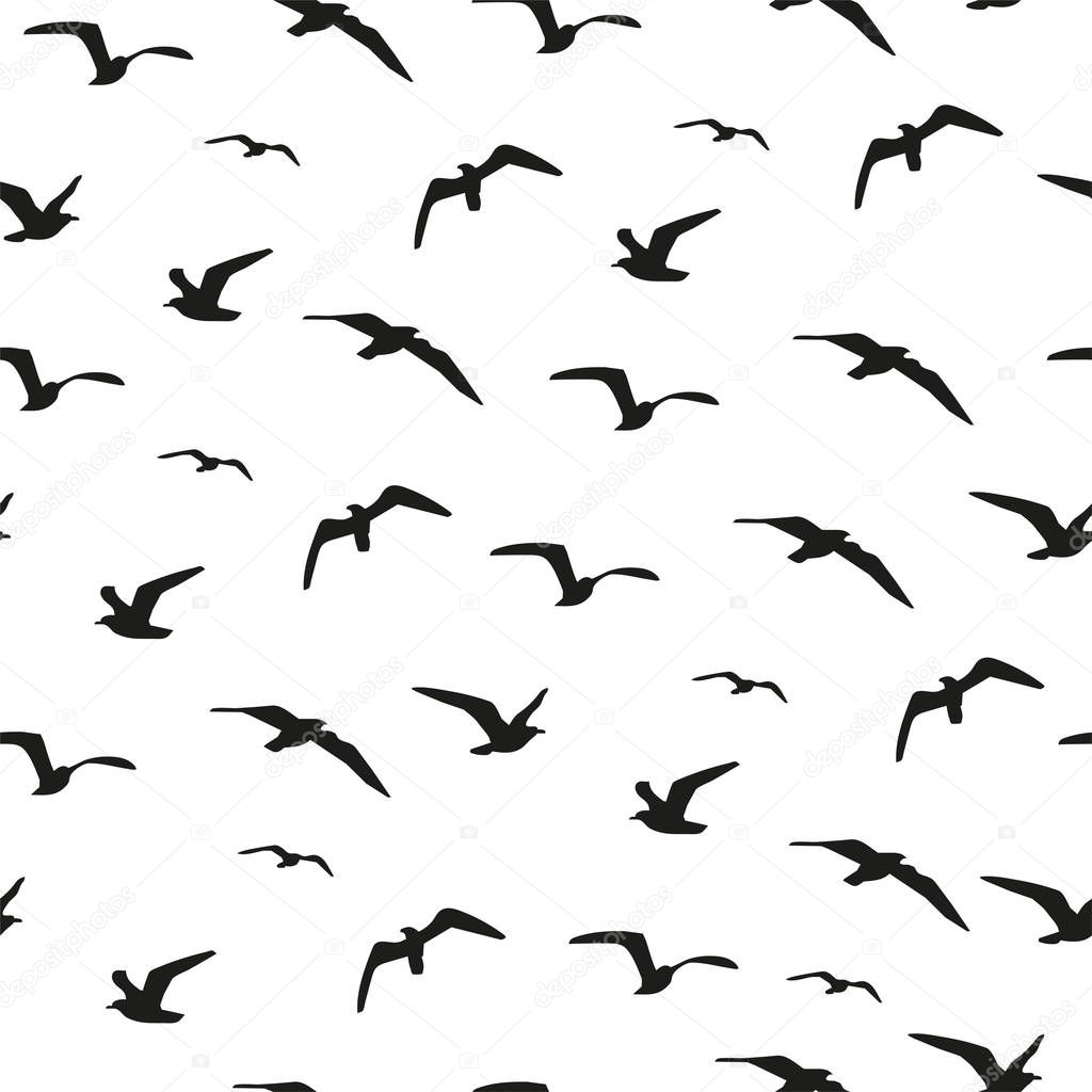 Black and white illustrattion with flying chaotic birds. Simple stylish background. 