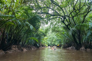 Kayaking at Klong Sung Nae, Thailand's Little Amazon. clipart