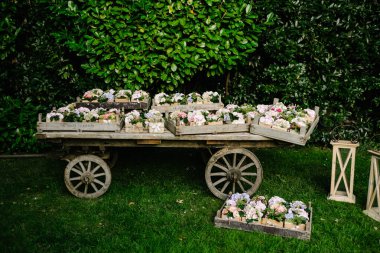 Kavanozları çiçek dolu antik ahşap vagon