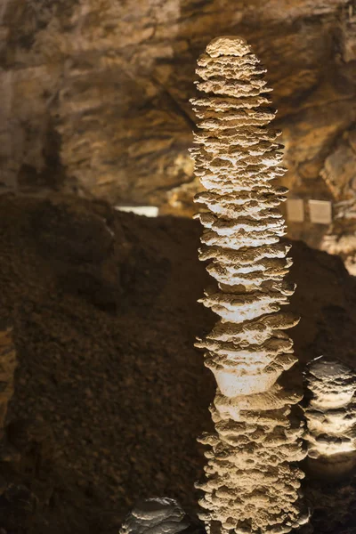 Докладна інформація про Grotta Gigante в Трієст, Італія — стокове фото