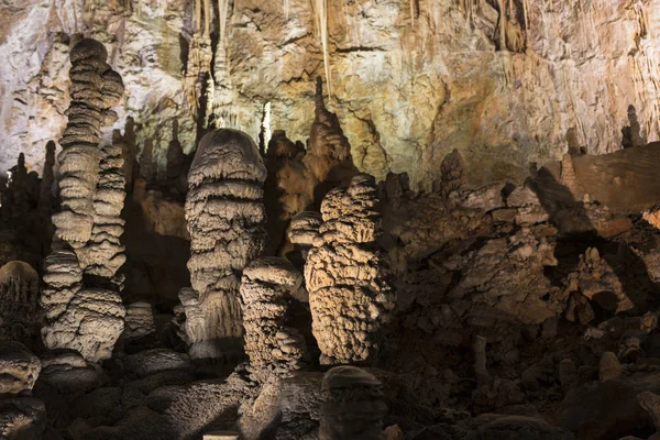 Докладна інформація про Grotta Gigante в Трієст, Італія Стокове Зображення