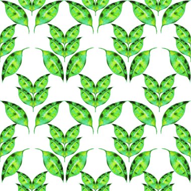 limon yaprağı beyaz arkaplanda suluboya deseni oluşturur