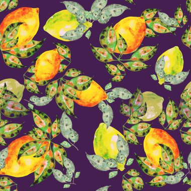 limon narenciye suluboya desenli koyu mor arkaplan bırakır