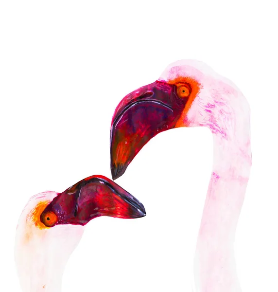 Roze Flamingo Vogel Hoofden Aquarel Illustratie Witte Achtergrond — Stockfoto