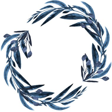 Zeytin yaprakları botanik çelenk suluboya bitkileri, menekşe rengi. Yapraklı renk değiştirme dalları. beyaz arkaplan, el çizimi, zeytin, yeşil böğürtlen, doku