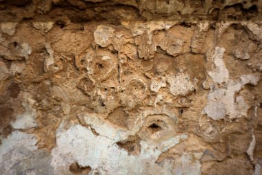 Bir sürü taşı olan eski ahşap bir duvar.