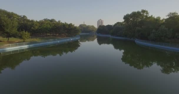 Lake in Peremohy Park, Odessa — Stock Video