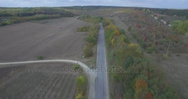 kamera bir sonbahar üzerinde sinekler orchard Batı Ukrayna