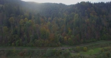 Drone dağda sonbahar ağaçlar doğru uçar