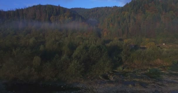 Luchtfoto van herfst bomen in de Karpaten-Oekraïne — Stockvideo