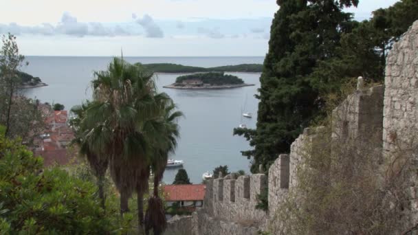 Vue sur le port et la baie de Hvar en Croatie — Video