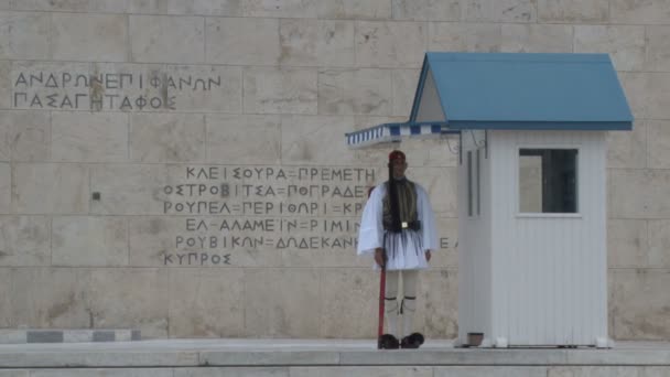 Griekse presidentiële wacht op ceremoniële plicht — Stockvideo