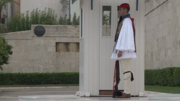 Griekse presidentiële wacht op ceremoniële plicht — Stockvideo
