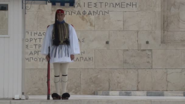 Grekiska presidentens vakt ceremoniella jourhavande — Stockvideo