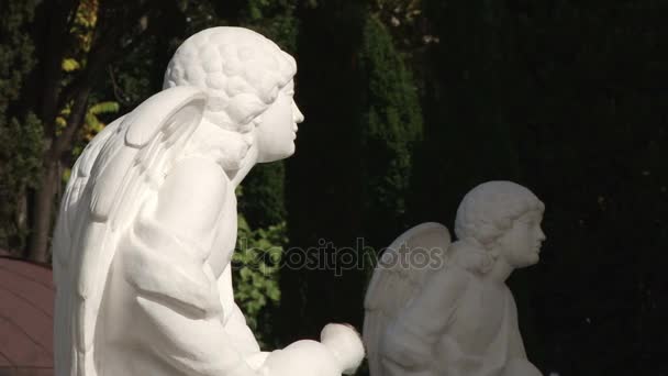 Φτερωτό γωνία αγάλματα, Soch, Ρωσία — Αρχείο Βίντεο