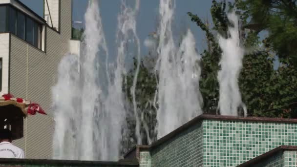 Fontaine dans le parc Sultan Ahmet Istanbul — Video
