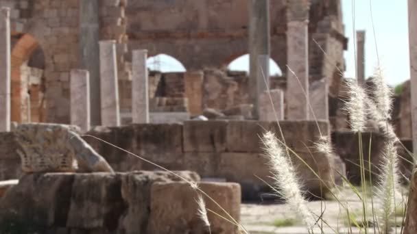 Torrt gräs blåser i vinden med forumet i Leptis Magna — Stockvideo
