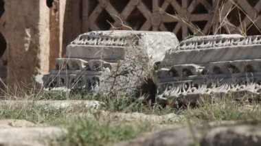 Kuru ot Leptis Magna forumda yakınındaki Rüzgar esiyor